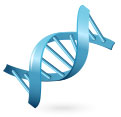 NOSSO DNA